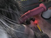 Preview 1 of Hyena got milking HD by h0rs3