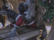 Preview 4 of Threesome with one Husky HD by h0rs3