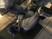 Preview 2 of 2 Dogs having fun together HD by h0rs3