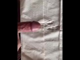 Japanese college student cumshot on toilet paper