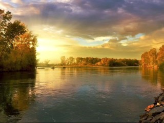 SUCH A GOOD LITTLE ELF (AUDIO ONLY) Fantasy