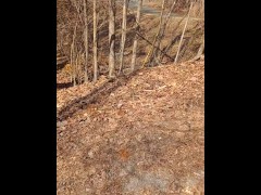 Eagle like focus  - Screenshot 3 of 16 - New World Order