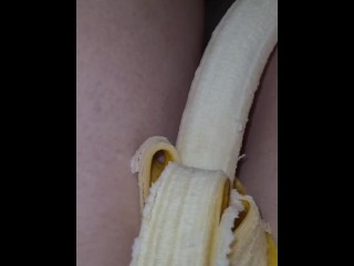 Porquinho De Banana 3