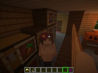 Minecraft Jenny Porn Game - village shop