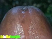 Preview 3 of Extreme relaxation Precum Play in Extreme Close Up FT BigDickinDaJungle