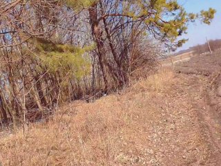 Perfect masturbation in the woods from a lovely MILF