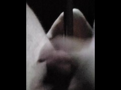DADDY NEEDS YOU🤤🤤 - Screenshot 7 of 16 - Male