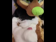 Preview 1 of Chuckles Cums in Fursuit While Charlie Helps