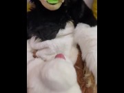 Preview 5 of Chuckles Cums in Fursuit While Charlie Helps