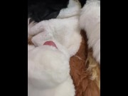 Preview 6 of Chuckles Cums in Fursuit While Charlie Helps