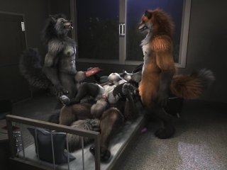 party, furry, creampie, canine