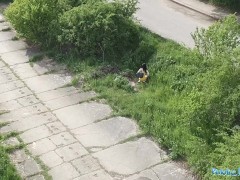 Video Public Agent A Pervert spies of a babe taking a piss with his drone and fucks her pussy