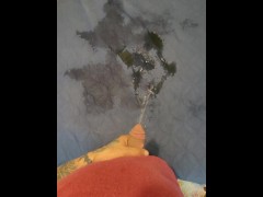 Short Pee On Bed 