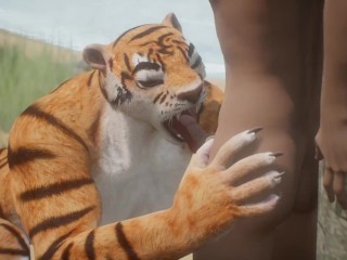 Wild Leven / Tiger Furry Girl Vangt Zijn Prooi