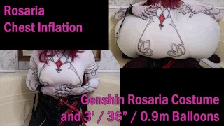 WWM - Rosaria Chest Inflation