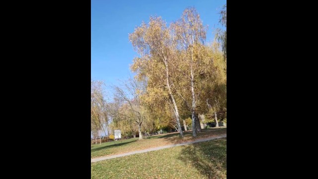 Littleangel84 - Pipe Super Risquée Au Lac Leman et Creampie Dans La Campagne Suisse