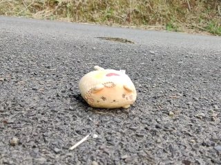 女装 ハイヒール レザー 野外 調教 踏み潰し クラッシュ フェチ