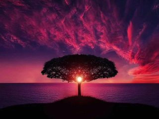 SETTING BOUNDRIES ANDSTICKING TO THEM (AUDIO ONLY)