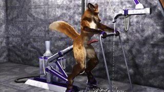 Fox test hump machine