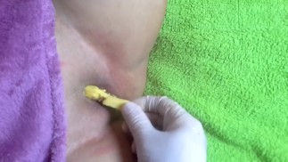 Тренируется у моего хозяина рыжего в пизду