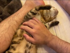 cat relaxing  ... . Isn't this the best holiday ever?