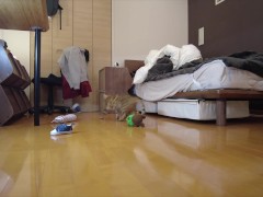 Kitty jumping  - Screenshot 7 of 16 - Kitten