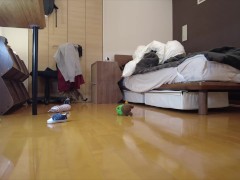 Kitty jumping  - Screenshot 8 of 16 - Kitten Playing