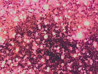 Ditching People Pleasing-Part 3 (guided journaling)