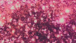 Отказ от людей, угождающих - Часть 3 (ведение дневника)