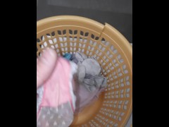 Wife's sister's   panties 