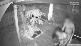 Outdoor Creampie. And it doesn't end there.- เย็ดกันนอกบ้าน