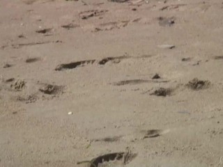 Gorgeous_Teen Agnes Bathes Her Beautiful Naked Body In The Ocean!