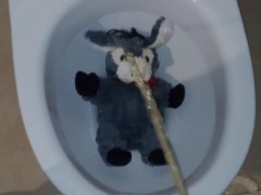 I peesing on this cute donkey!! So much PEE!!!!!!