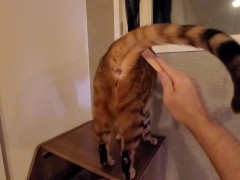 Pussy feel better with toys .... It feels so good that it loses its strength.