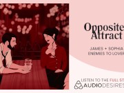 Preview 2 of [AUDIO] A crime of passion ⚖️ Opposing lawyers fuck before court [enemies to lovers]