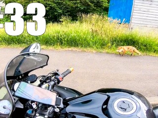 【仕事辞めて日本一周ツーリング Part33 北海道】キタキツネ・小樽【モトブログ旅（リメイク）】