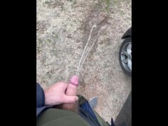 Public piss