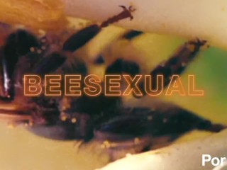 Vidéo D’abeille