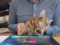 DJ pussy's intense play .... The dance floor is going wild and it's a party tonight!