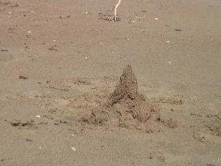 Naked Nymph Agnes Gets_Her Nice AssCovered In Beach Sand!