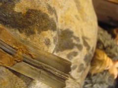 FUCVph3 Ana Nova naked "Insane" just the cumshot