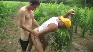 FRENCH PORN CLIP AMATOR JESS fucked in exhib wineyards by straight arab