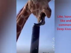 Stepdaughter my giraffe in the perfect deepthroat with cum in throat 