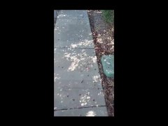 Ali Crimson pissing in a cup