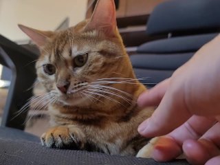 Master is not satisfied with your massage .... Be a good servant.