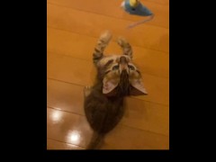 Watching her play in slowmotion.