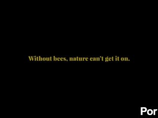 bees, blonde, testsponsordomain