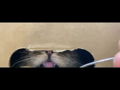 The restrained licks .