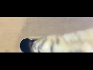 The restrained licks .