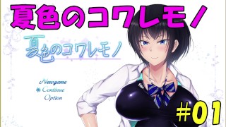 Doujin Erotic Game Live Summer Colored Kowaremono #01 Hentai Game Correction 2